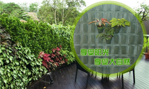 移動式植物墻(圖2)