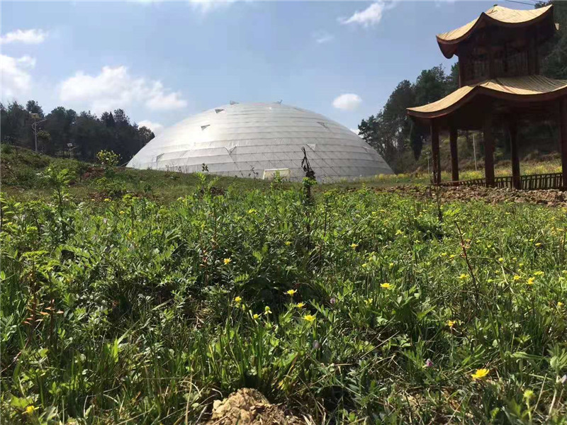 貴陽(yáng)3018平米無(wú)立柱鳥(niǎo)巢溫室(圖4)